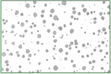 1654586577626784.png 9d1b8d9c5a1b6652ce0fa7bac6dae610.png